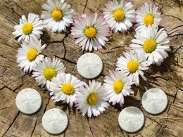 Mini Sabun - Papatyalı